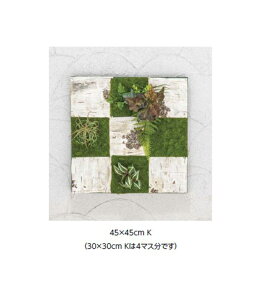 (t[t) ǖʃAW K  45×45cm (GD-201KF 33541100) (^JV[ |pi GNXeA _@ 돤X)