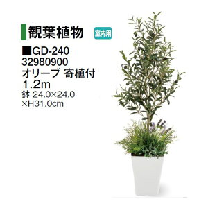 ^JV[ypz lHA ϗtA I[u At 1.2m (GD-240 32980900) m^JV[ |pi GNXeA _@ 돤X] yuas