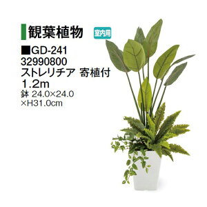 ^JV[ ypz lHA ϗtA Xg`A At 1.2m (GD-241 32990800) m^JV[ |pi GNXeA _@ 돤X] yuas