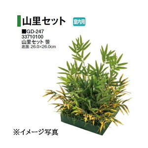 ^JV[ ypz lHA RZbg  (GD-247 33710100) m^JV[ |pi GNXeA _@ 돤X] yuas