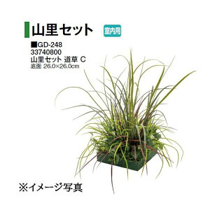 ^JV[ ypz lHA RZbg  C (GD-248 33740800) m^JV[ |pi GNXeA _@ 돤X] yuas