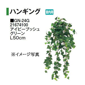 ^JV[ ypz lHA nMO ACr[ubV O[ L50cm (GN-24G 21674100) m^JV[ |pi GNXeA _@ 돤X] yuas