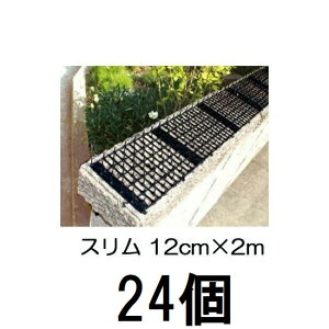 (P[X24Zbg) _V[g X12cm×2m F rj[ ylREEȂǂ̐Nhz(ls @llI)