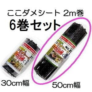 (1P[X6Zbg) _V[g 2mL 50cm×2m F rj[ ylREEȂǂ̐Nhz