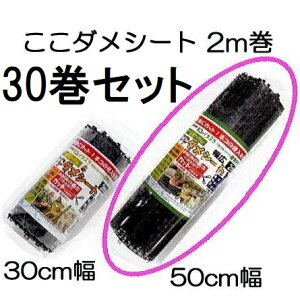 (5P[X 6×5Zbg) _V[g 2mL 50cm×2m F (30Zbg) rj[ ylREEȂǂ̐Nhz