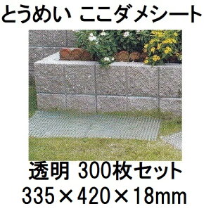 (3P[X 300Zbg) Ƃ߂ _V[g  lR悯 lRǕ rj[