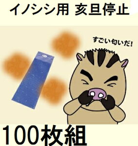 (100Zbg) U~ Ă (CmVVp) Nh~pV[g (bQh~΍t Ώۏi) 擾 M [̂΍ CmVV΍] yȂv[