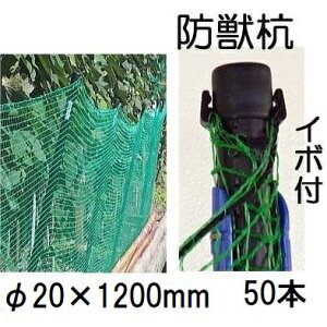 (50{Zbg) CmVVAAK hbY C{t 20×1200mm |px VZC (@llI)