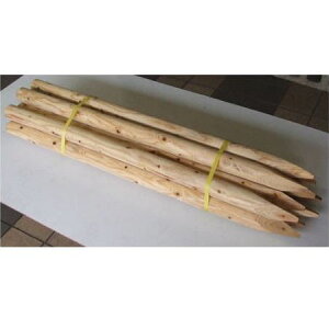 ([1Tԁ`) (؍Y 10{Zbg)  ۖ؍Y 60mm×150cm mHpY ۑY 5 ؍Y 돤X 60×1500mmn