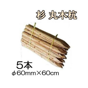 ([1Tԁ`) (؍Y 5{Zbg)  Y ۖ؍Y 2 60mm×60cm HpYmprY 돤X 60×600mmn