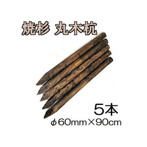 ([2T) (ĐY 5{Zbg) ۑY ۖ؍Y ؍Y 3 60mm×90cm 6.5kg HpY mprY 돤X 60×900mmn