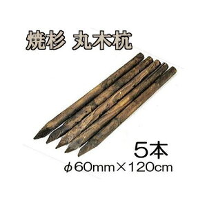 ([2T) (ĐY 5{Zbg) ۑY ۖ؍Y ؍Y 4 60mm×120cm 8.5kg HpY mprY 돤X 60×1200mmn