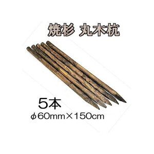 ([2T) (ĐY 5{Zbg) ۑY ۖ؍Y ؍Y 5 60mm×150cm 10.5kg HpY mprY 돤X 60×1500mmn