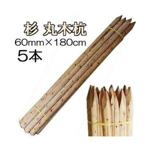 ([1Tԁ`) (؍Y 5{Zbg)  Y ۖ؍Y 6 60mm×180cm 12.5kg HpY m؍Y prY 돤Xn 60×1800mm