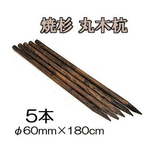 ([2T) (ĐY 5{Zbg) ۑY ۖ؍Y ؍Y 6 60mm×180cm HpY mprY 돤X 60×1800mmn