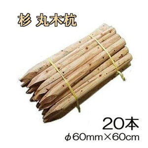 ([1Tԁ`) (؍Y 20{Zbg)  Y ۖ؍Y 2 60mm×60cm m؍Y HpY prY 돤X 60×600mmn