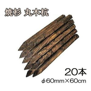 ([2T) (ĐY 20{Zbg) Ă ۖ؍Y ؍Y 2 60mm×60cm HpY mprY 돤X 60×600mmn