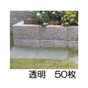  (50Zbg) Ƃ߂ _V[g  lR悯 lRǕ rj[ (c킸)@zm