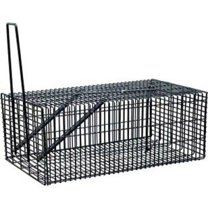 LEC^` Egߊl L Aj}Lb`[ (RB-1i) X`[ (h) Rp zs