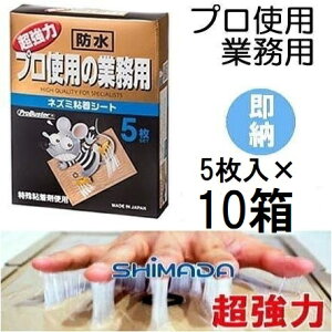 (p 5×10Zbg)  vgp̋Ɩp lY~SV[g ˂ݔSV[g \S ˂ݕ߂ lY~oX^[ ͔S˂݂Ƃ Sh^Cv SHIMADA V}_