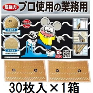 (30×1)  vgp̋Ɩp lY~SV[g ˂ݔSV[g \S ˂ݕ߂ lY~oX^[ ͔S˂݂Ƃ Sh^Cv SHIMADA V}_@zs