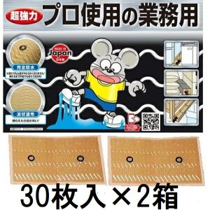 (30×2)  vgp̋Ɩp lY~SV[g ˂ݔSV[g \S ˂ݕ߂ lY~oX^[ ͔S˂݂Ƃ Sh^Cv SHIMADA V}_@zs