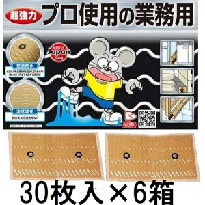 (30×6)  vgp̋Ɩp lY~SV[g ˂ݔSV[g \S ˂ݕ߂ lY~oX^[ ͔S˂݂Ƃ Sh^Cv SHIMADA V}_@zs