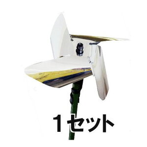 [΍] LLŒ悯 L g 1Zbg [돤X] rj[ (zmG1)