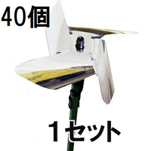 (1P[X 40Zbg) [΍] LLŒ悯 L g rj[ (ls @llI)