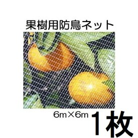 キンボシ 果樹すっぽり防鳥ネット 6×6m 7679 直がけ防鳥網　(zmP1)