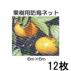 (12���Z�b�g����) �L���{�V �ʎ������ۂ�h���l�b�g 6×6M 7679 (�������h����) (�l��z���s��)�@zm