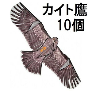 (10Zbg) ǂ JCg KD-180 (4mt@Co[|[xt) h _ AINO@zs