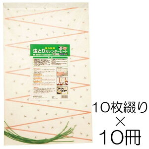 (10Ԃ×10) ƂJ_[V[g ߒ ߒV[g J_[V[g ^nG莆 Ɩp͂Ƃ肩 n` Au XJ