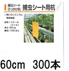 (p300{) ߒV[gЂY ߒV[gpY 60cm (ߒV[g͕t܂) ؎Y ߒpY gV[