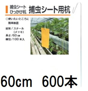 (600{) ߒV[gЂY ߒV[gpY 60cm (ߒV[g͕t܂) ؎Y ߒpY gV[