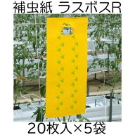 (20枚入×5袋) 補虫シート ラスボスRタイプ IVY114 (100枚) 特殊模様付き粘着式捕虫シート 補虫紙 大協技…