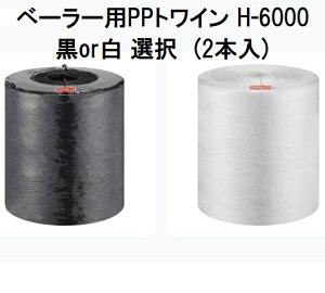 (2Zbg) iH x[[pPPgC H-6000 (or I) 5kg q[x[[pR (@llI)