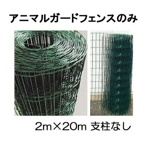 Aj}K[htFX tFX̂ Ԗ10×10cm 2m×20m VZC (@lorlI)