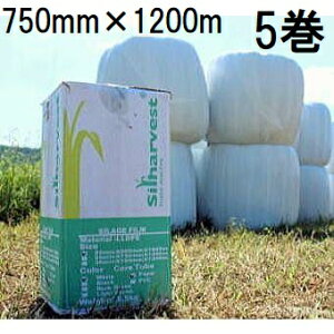 p5Zbg (i ϋv) qp bvCbv 25 750mm×1200m  TC[WtBTS