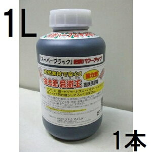 ŷ΍z Y  X[p[ubN 1L 1{ ( CmVV ΍ Qbt) QbQ΍ (쓙or^[pbN)