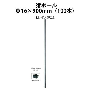 dCp |[ (16×900) 100{Zbg [KD-INO900] [x dC hb΍ ƒ؉p 돤X]̃AO