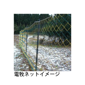 dCp dqlbg T^lbg 196 100 (1.2M×50M) W^[KD-TNE19*100*1200*50M]A150[x dC hb΍ ƒ؉p 돤X]̃AO