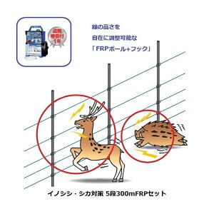 CmVVEVJ΍p 5i300mFRPZbg (968) dC ⏞t dq쏊 keib