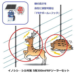 CmVVEVJ΍p 5i300mFRP\[[Zbg (969) dC ⏞t dq쏊 keib