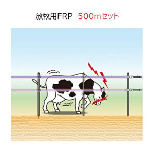 ۏؕt| qpFRP500mZbg (936) qp2iZbg dC dq쏊 keib