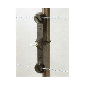 dq쏊 dCq 햌|ǎxp(Qb^[pCp)WKCV(21`26mmxp) 50Zbg y308z