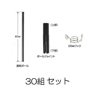 (30gZbg) 20mm×60cmWCgZbg (286) (A|[30{A|[WCg30A26mmtbN30) dCpx dq쏊 keib