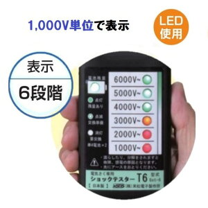 VbNeX^[T6 Gst-6 (607) dCp d dq쏊