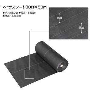 }CiXV[g 80cm×50m (729) A[XV[g dq쏊 dCp keib