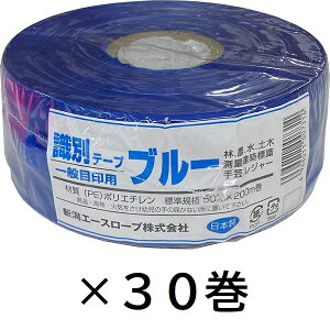 (lzs) 1P[X(30) CmVVʃe[v }[LOe[v u[ 50mm×200mVG[X[v S͂܂